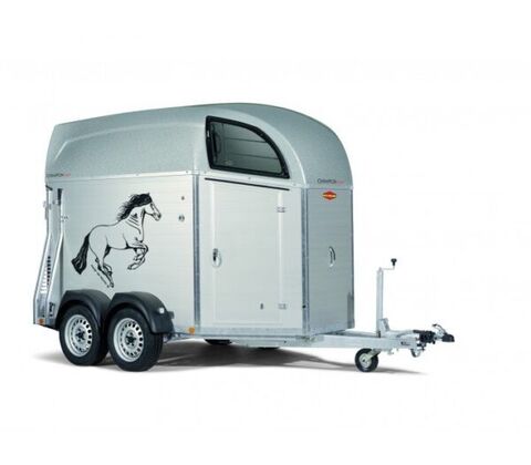 Böckmann Champion Pony